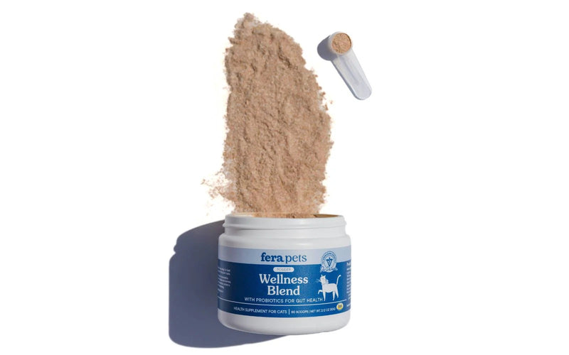 Wellness Blend Gut Health Supplement For Cats - 60gr