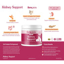 Kidney Support Probiotics Powder Health Supplement For Cats - 60gr