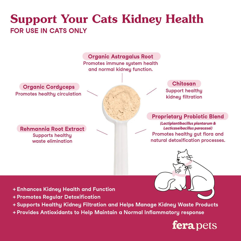 Kidney Support Probiotics Powder Health Supplement For Cats - 60gr
