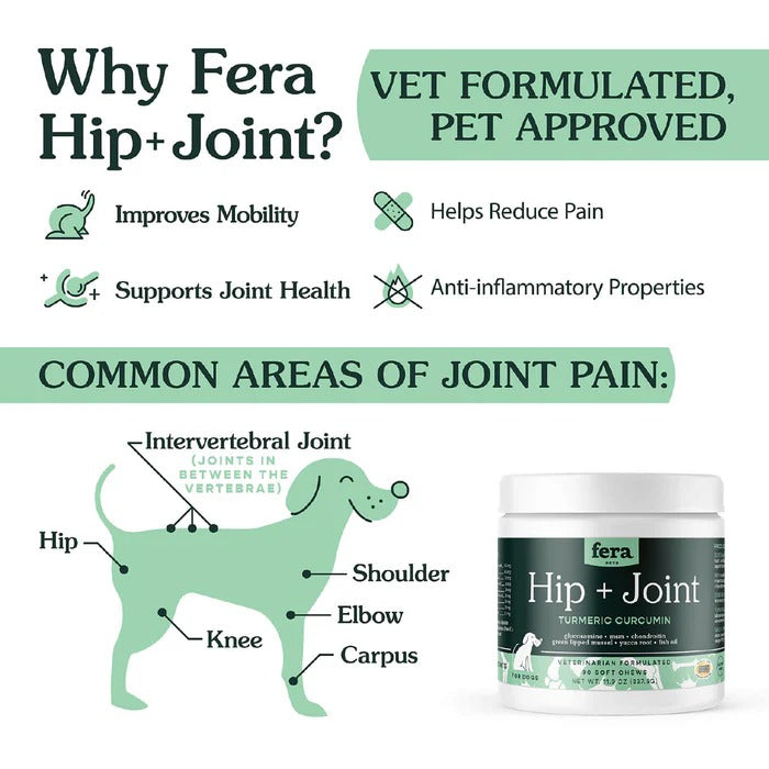 Hip + Joint Turmeric Curcumin For Dogs - 90 soft chews