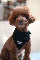 Pawda Dog Bandana Collar