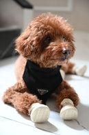 Pawda Dog Bandana Collar