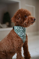 Ruffee Dog Bandana Collar