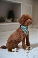 Ruffee Dog Bandana Collar