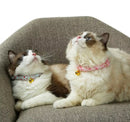 Collar with Bell For Cats