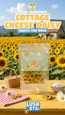 Fleur Croguante Cottage Cheese Daisy Dog Treats
