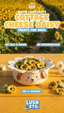 Fleur Croguante Cottage Cheese Daisy Dog Treats