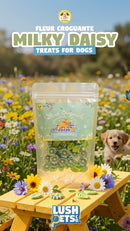 Fleur Croguante Milky Daisy Dog Treats