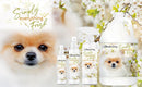 Simply Everything Fresh Deodorizing Spray For Pets