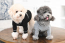 Chasetian Dogior Black Dog Sweater