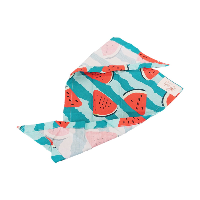 Watermelon Bandana For Pets