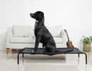 Elevated Pet Cot