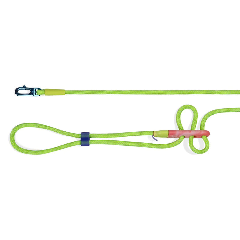GLO Hands-Free Dog Leash