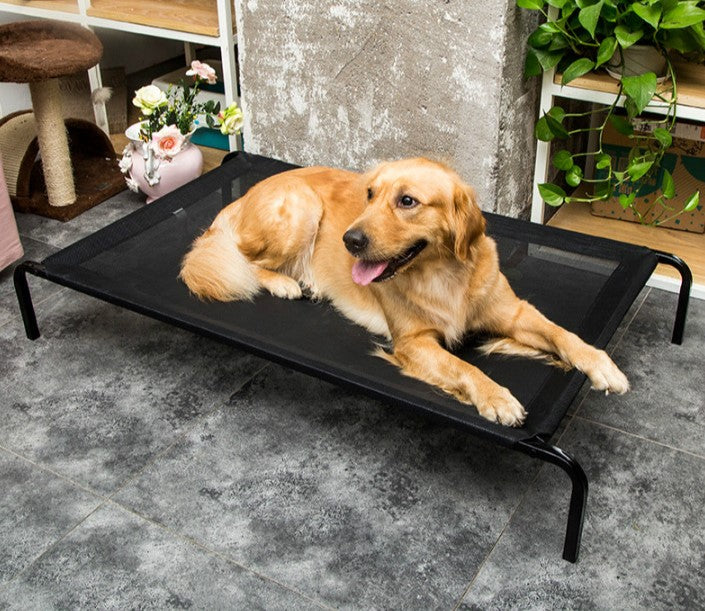 Elevated Pet Cot