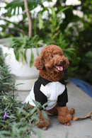 Prada Black Jacket Pet Clothes