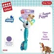 Suppa Puppa Pet Series With Squeaker Dog Toy