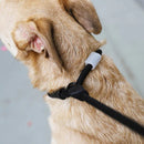 Slip N Lock Leash