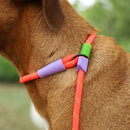 Slip N Lock Leash