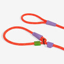 Slip N Lock Leash