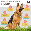 Ultra Omega Oil For Dogs - 16oz