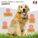 Hip & Joint Liquid Glucosamine For Dogs - 16oz