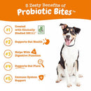Gut Health Probiotic Bites - Probiotic Bites Chicken Flavor Soft Chews For Dogs - Jar