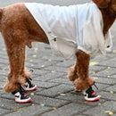 Nike Black Dog Shoes