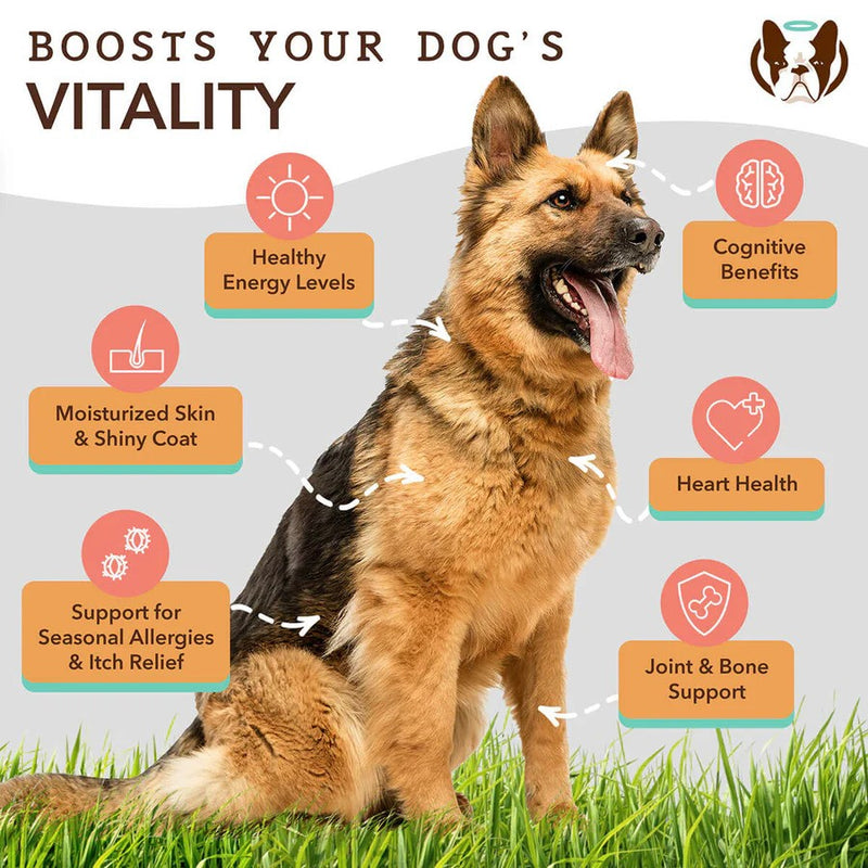 Coldwater Atlantic Salmon Oil For Dogs - 16oz