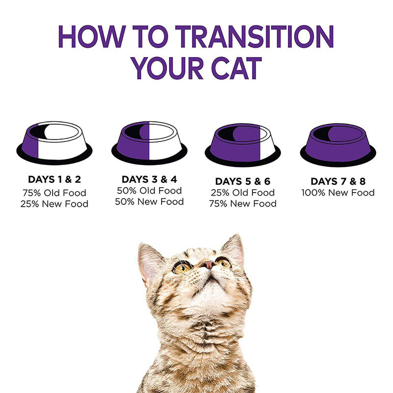 Complete Health Pate Chicken & Lobster Grain-Free Cat Food