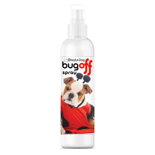 Bug Off Spray For Dogs