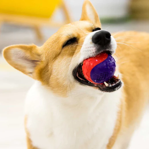 Ball With Squeaker Solid Dog Toy