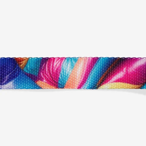 H3D Bounce Cat Regular Collar