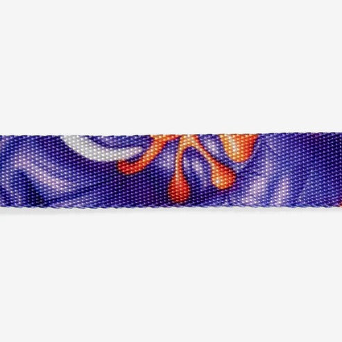 H3D Puff Cat Regular Collar