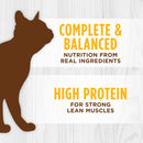 Original Grain-Free Real Chicken Recipe Wet Cat Food