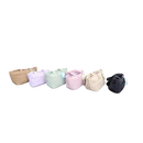 Saranghaeyo Pet Bag