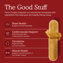 Cardiac Support For Dogs & Cats