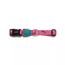 Paradise Regular Dog Collar