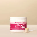 Kidney Support Probiotics Powder Health Supplement For Dogs - 60gr