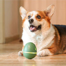 Wicked Egg Smart & Interactive Pet Toy
