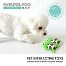 Turttle Interactive Toys
