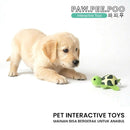 Turttle Interactive Toys