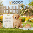 Disposable Female Pet Diaper
