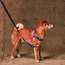 Reebok Court Softerwalk Harness