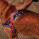 Reebok Court Softerwalk Harness