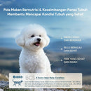 Duck & Snow Pear Baked Dog Food