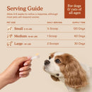 Probiotics + Prebiotics Support Gut Health for Dogs & Cats