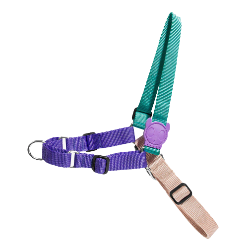 Boogie Soft-Walk Harness