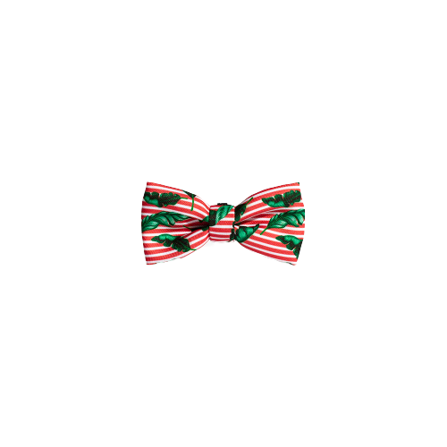 Bali Bowtie