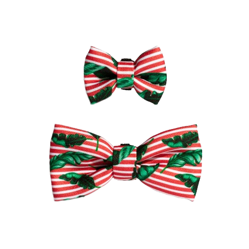 Bali Bowtie