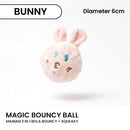 Magic Bouncy Ball Pet Toys